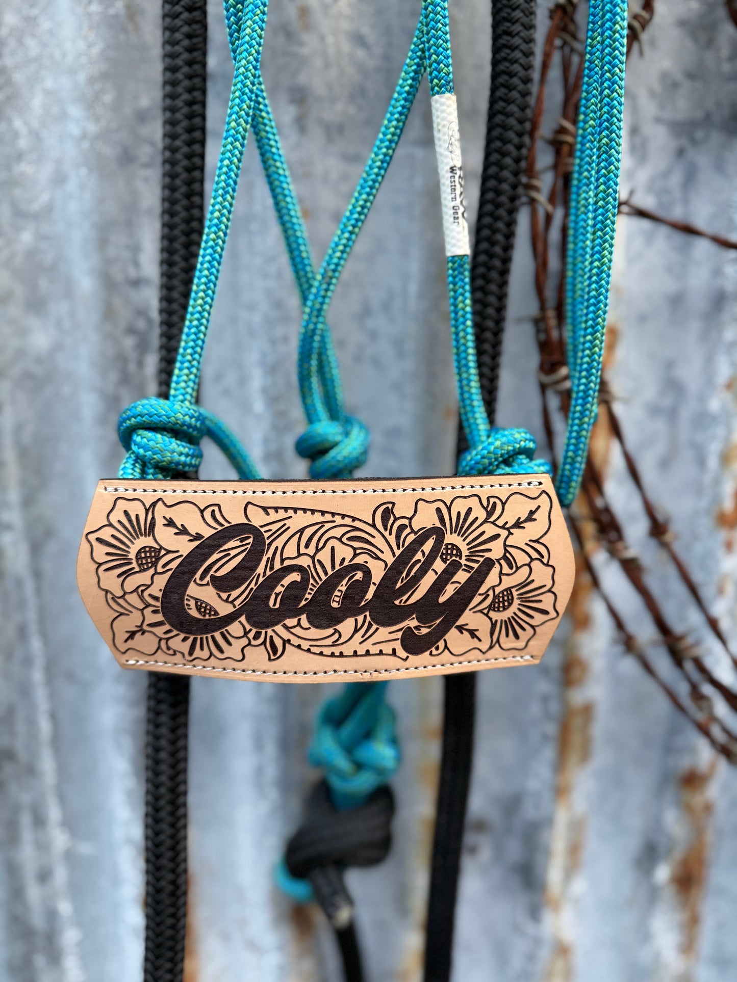 Halter with Nose Band