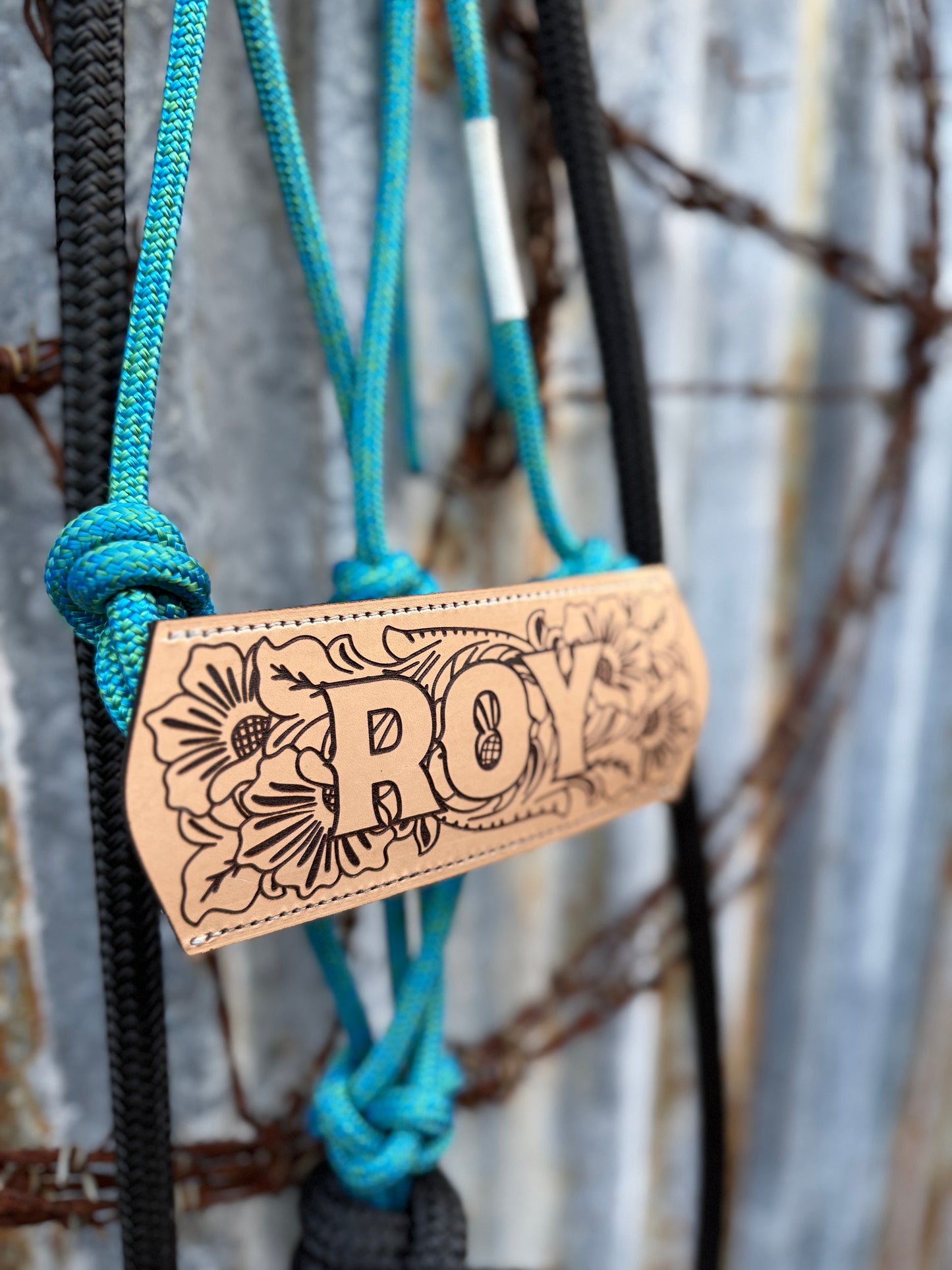 Halter with Nose Band