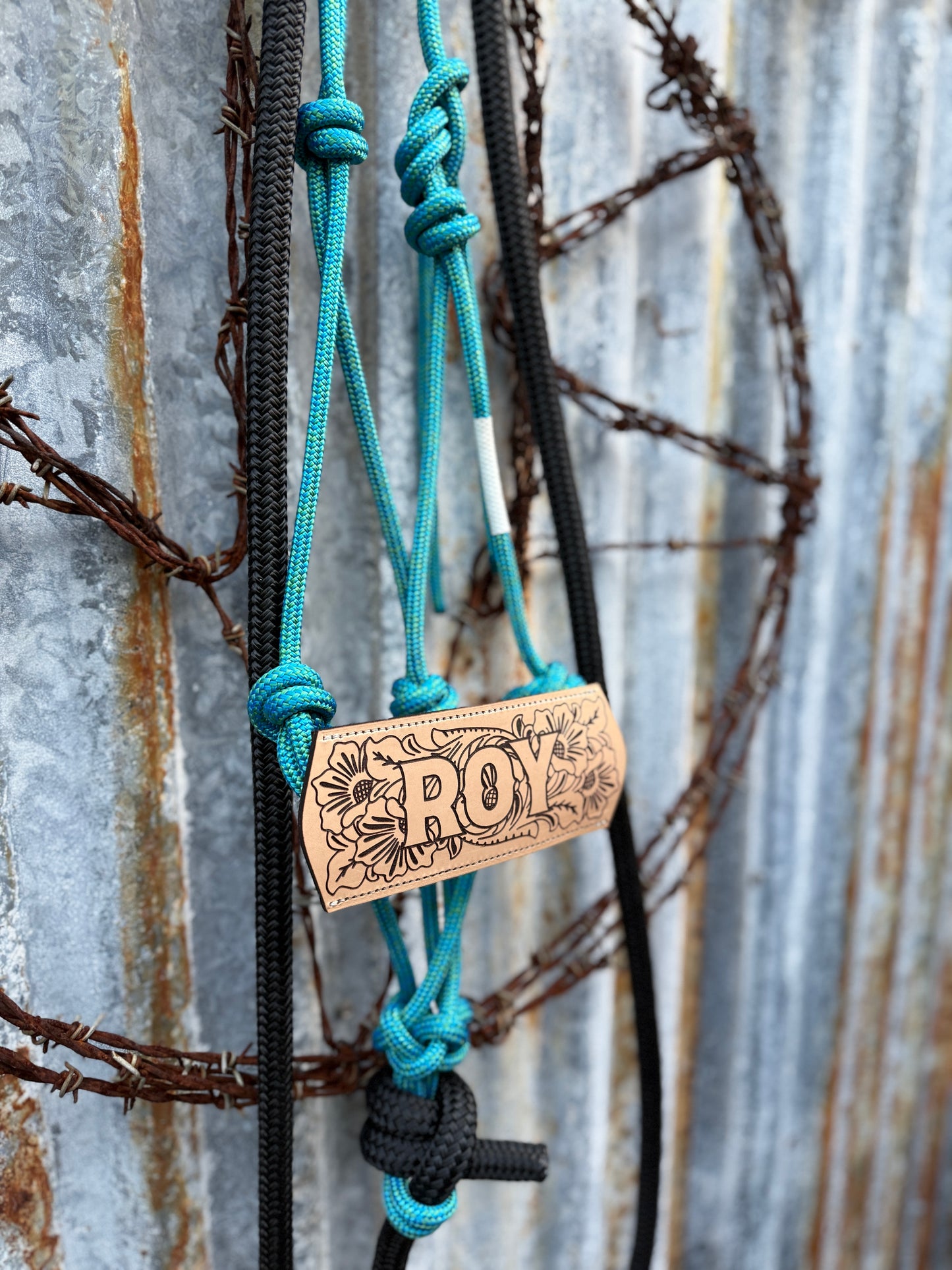 Halter with Nose Band