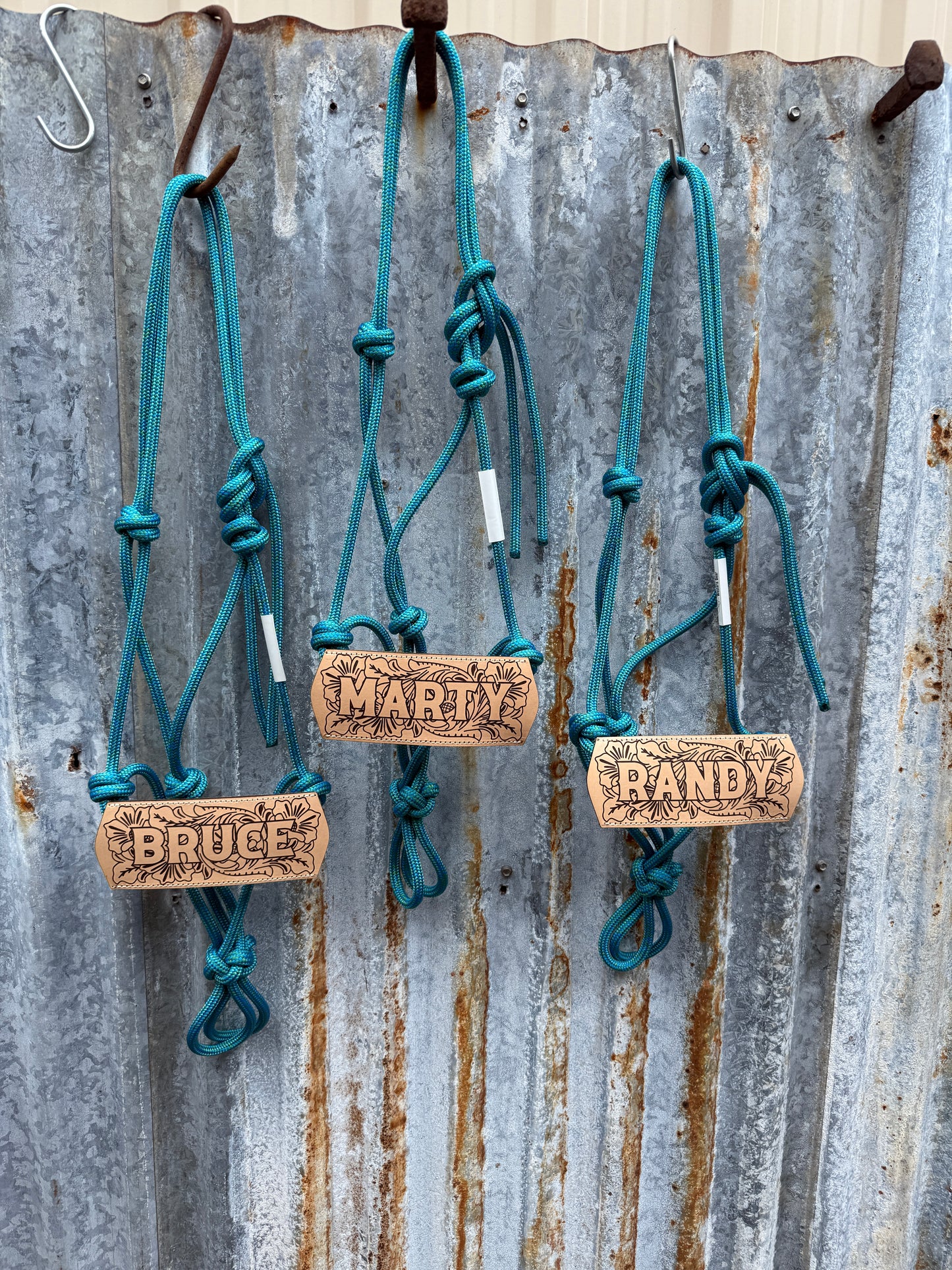 Halter with Nose Band