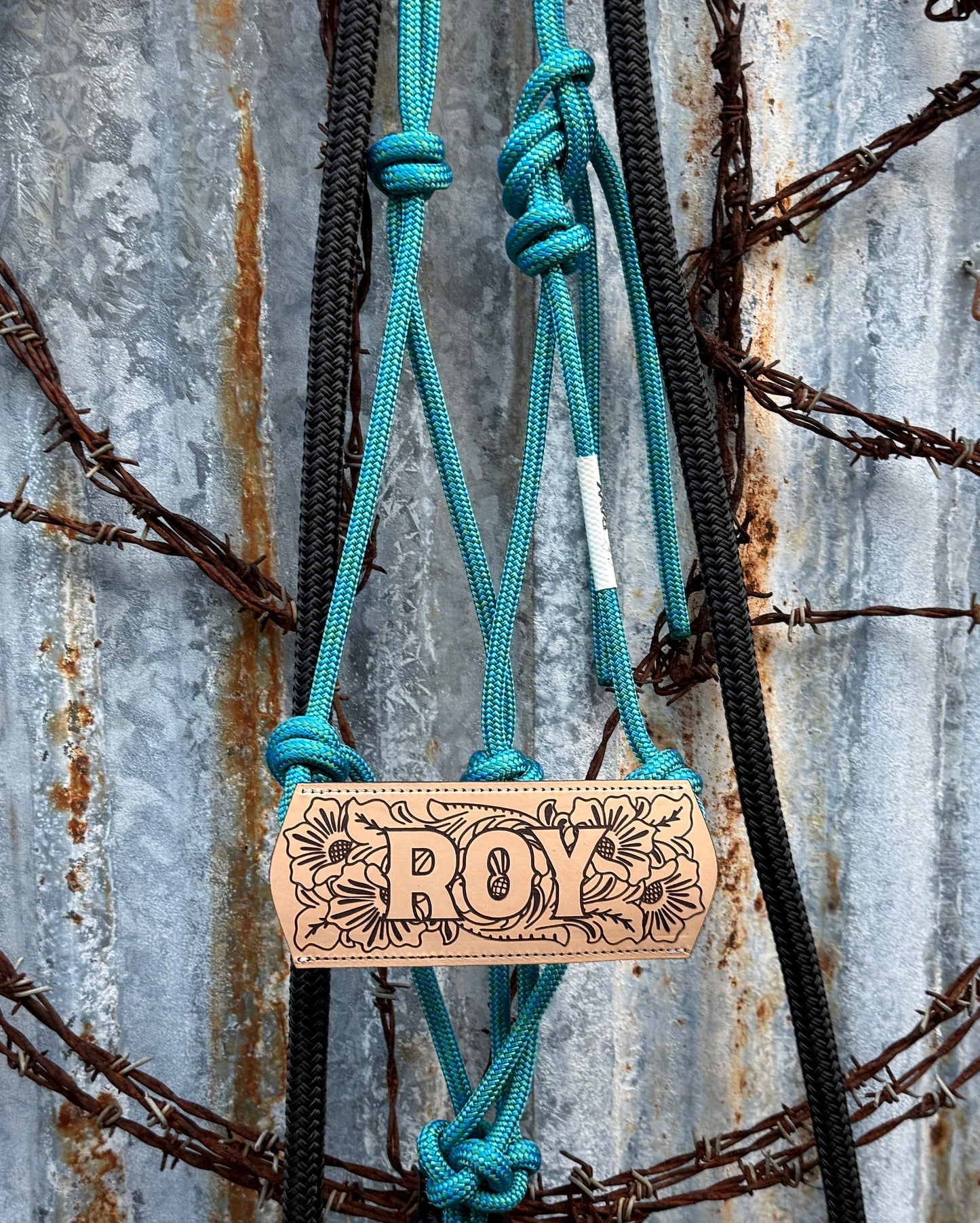 Halter with Nose Band