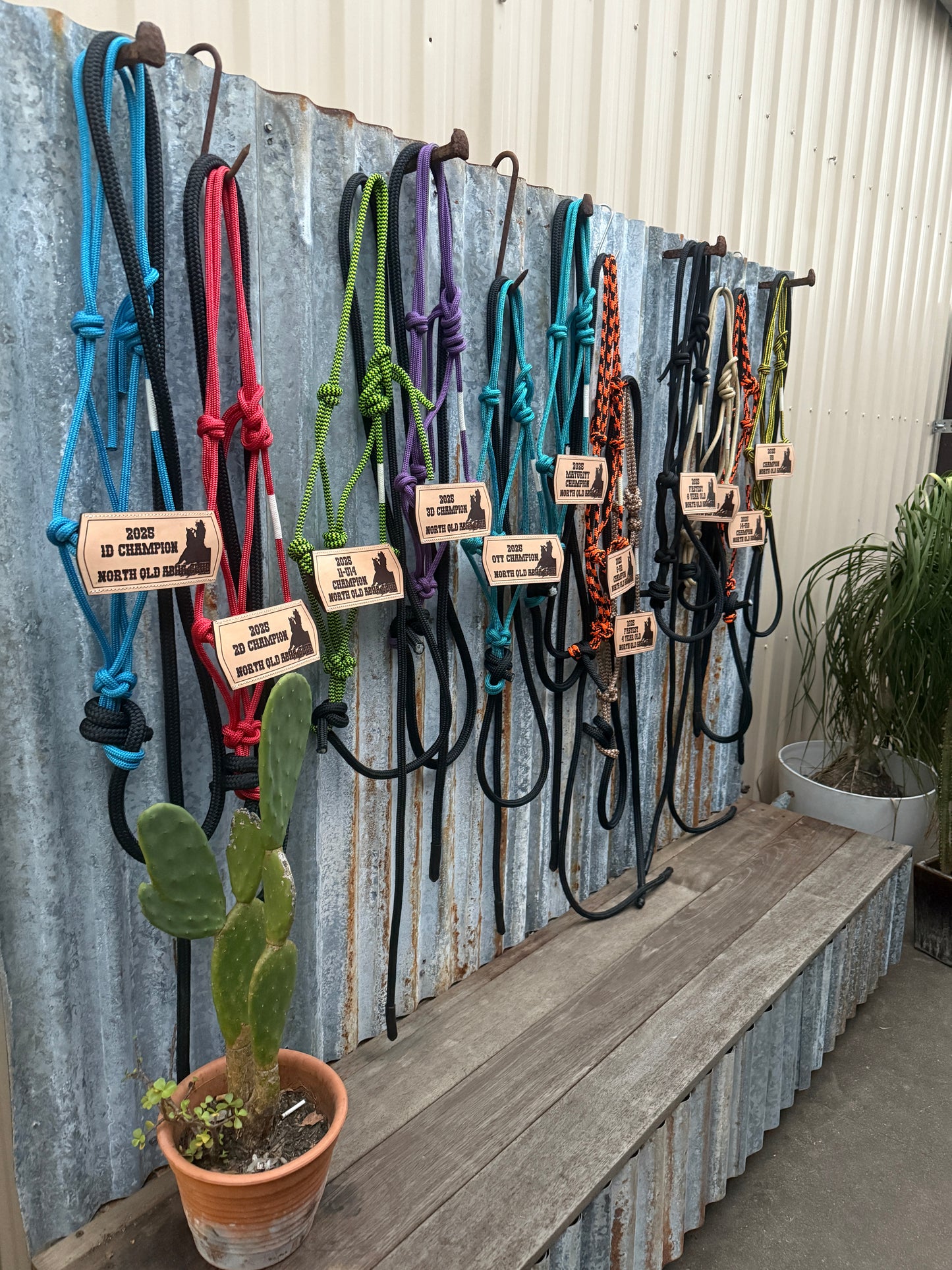 Halter with Nose Band