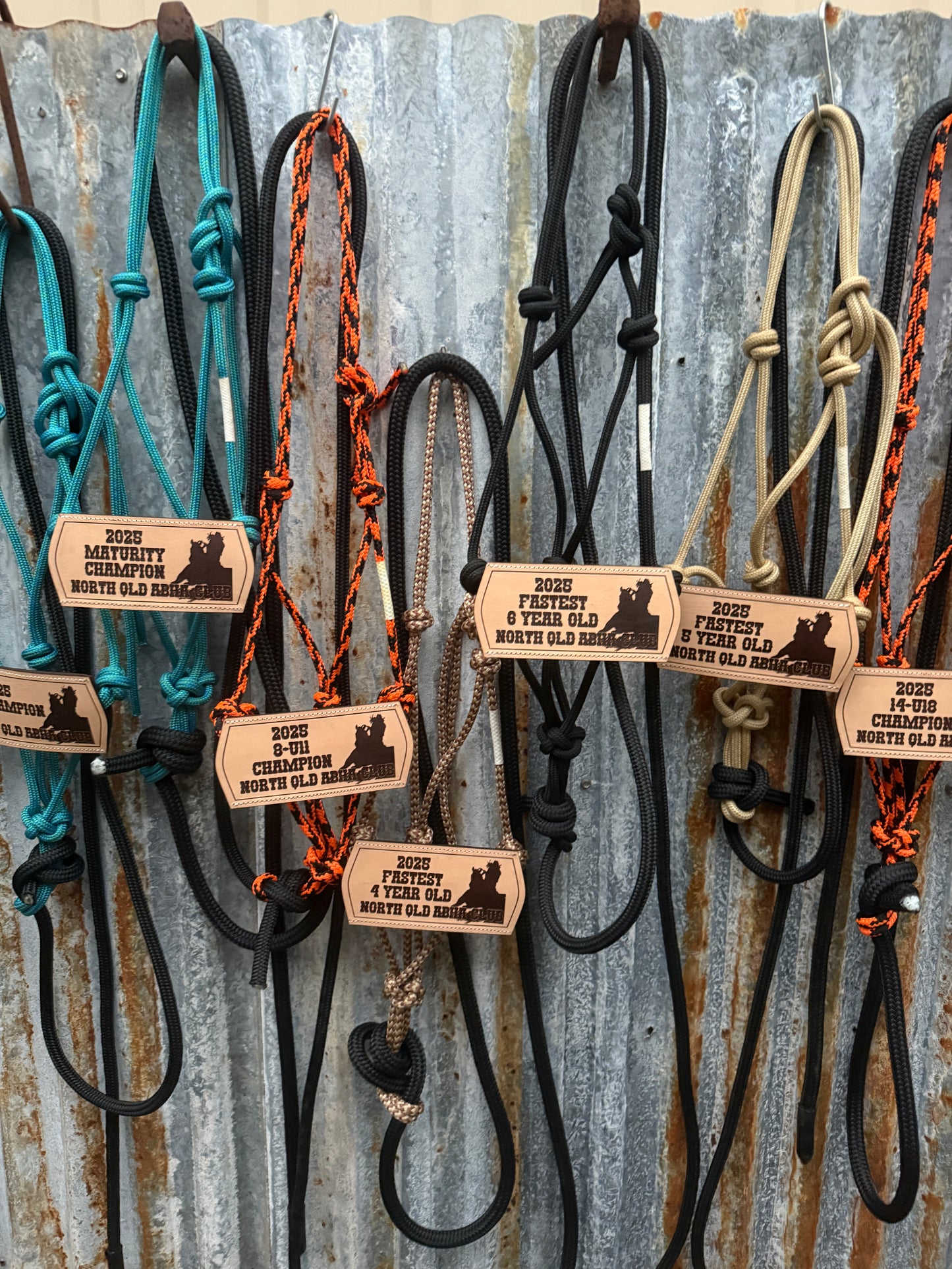 Halter with Nose Band