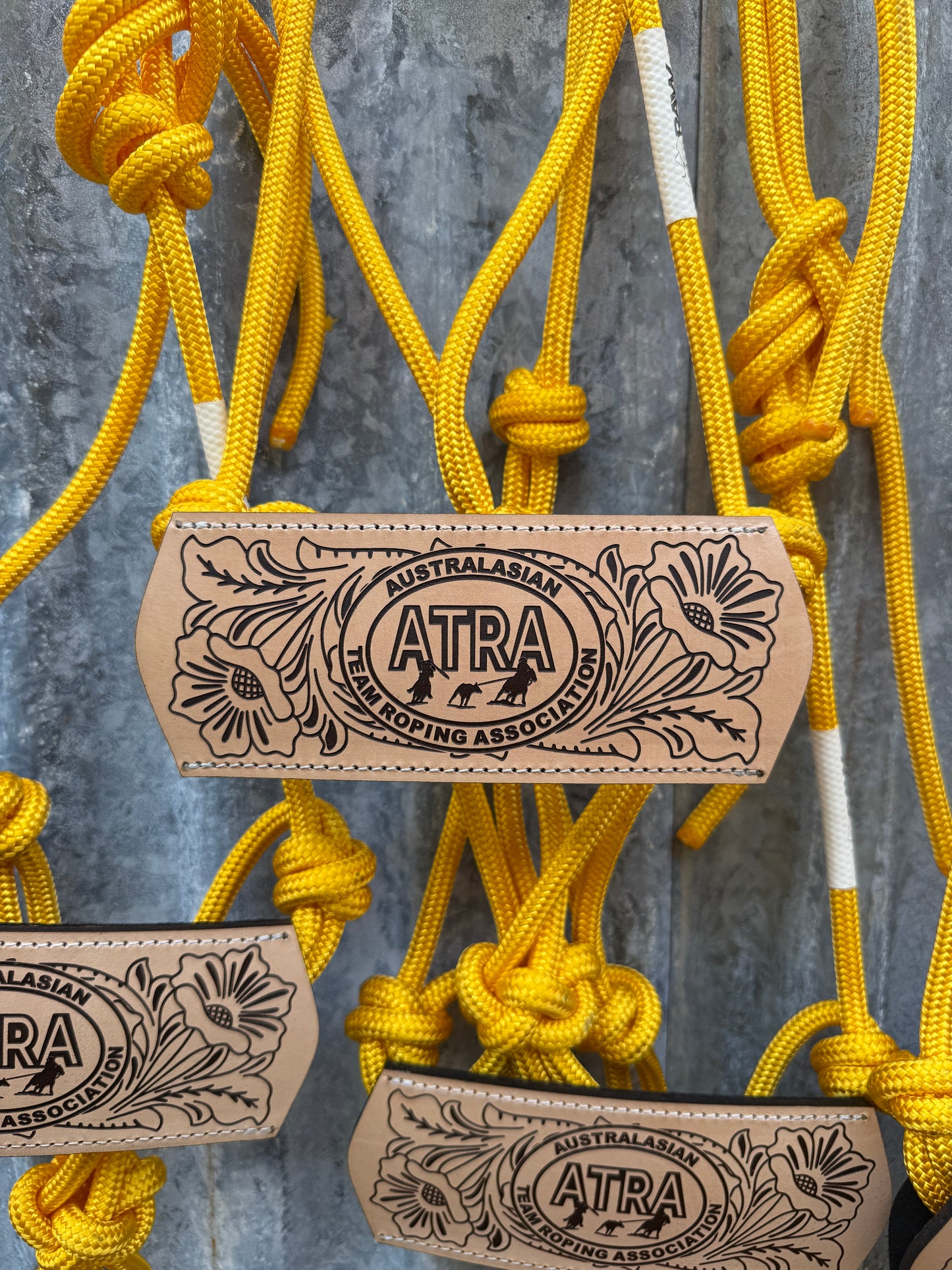 Halter with Nose Band