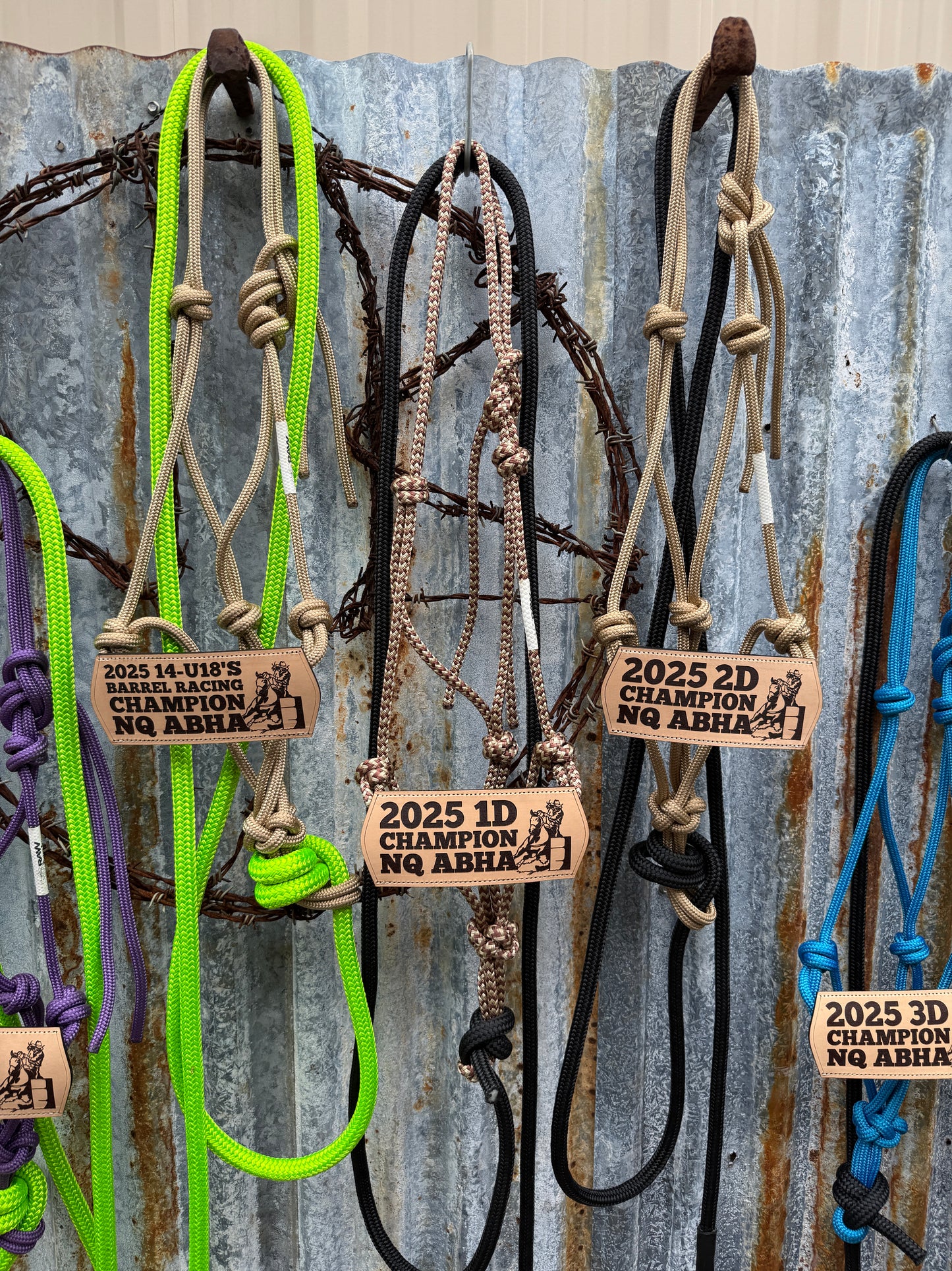 Halter with Nose Band