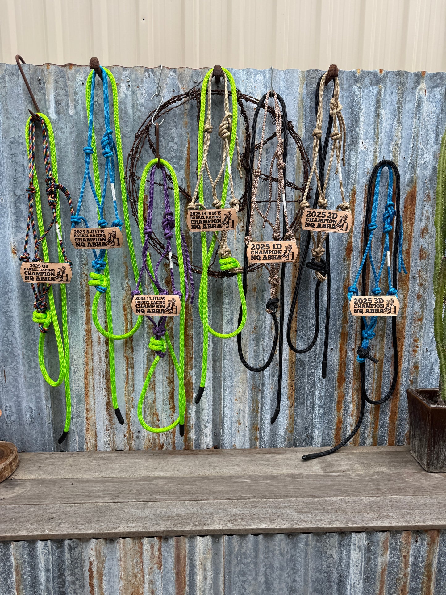 Halter with Nose Band