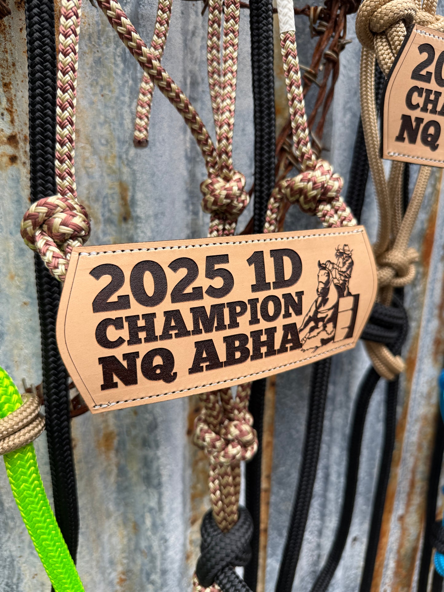 Halter with Nose Band