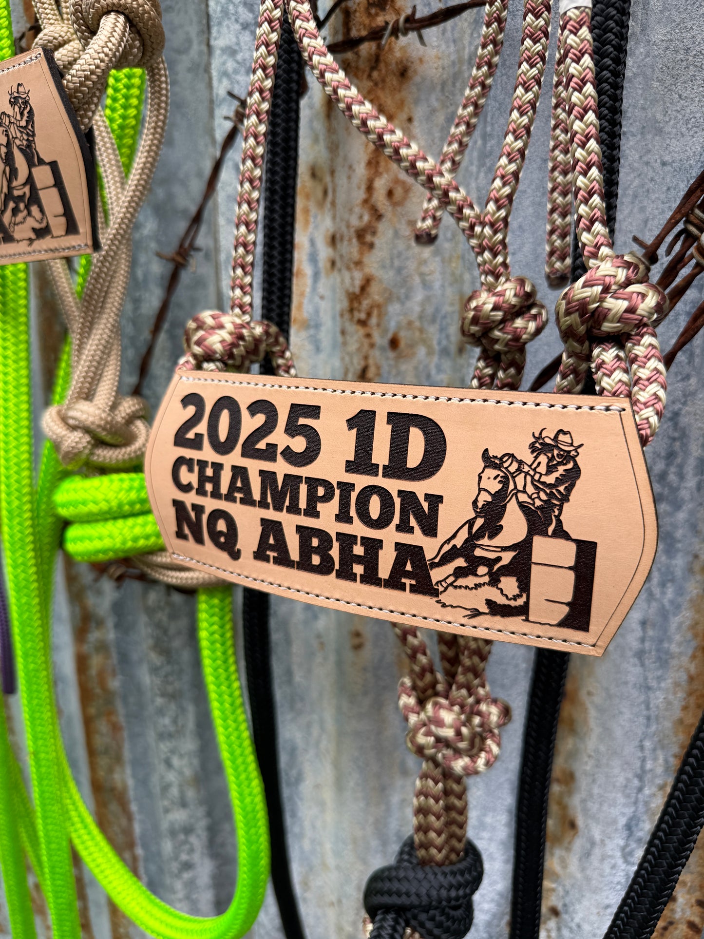 Halter with Nose Band