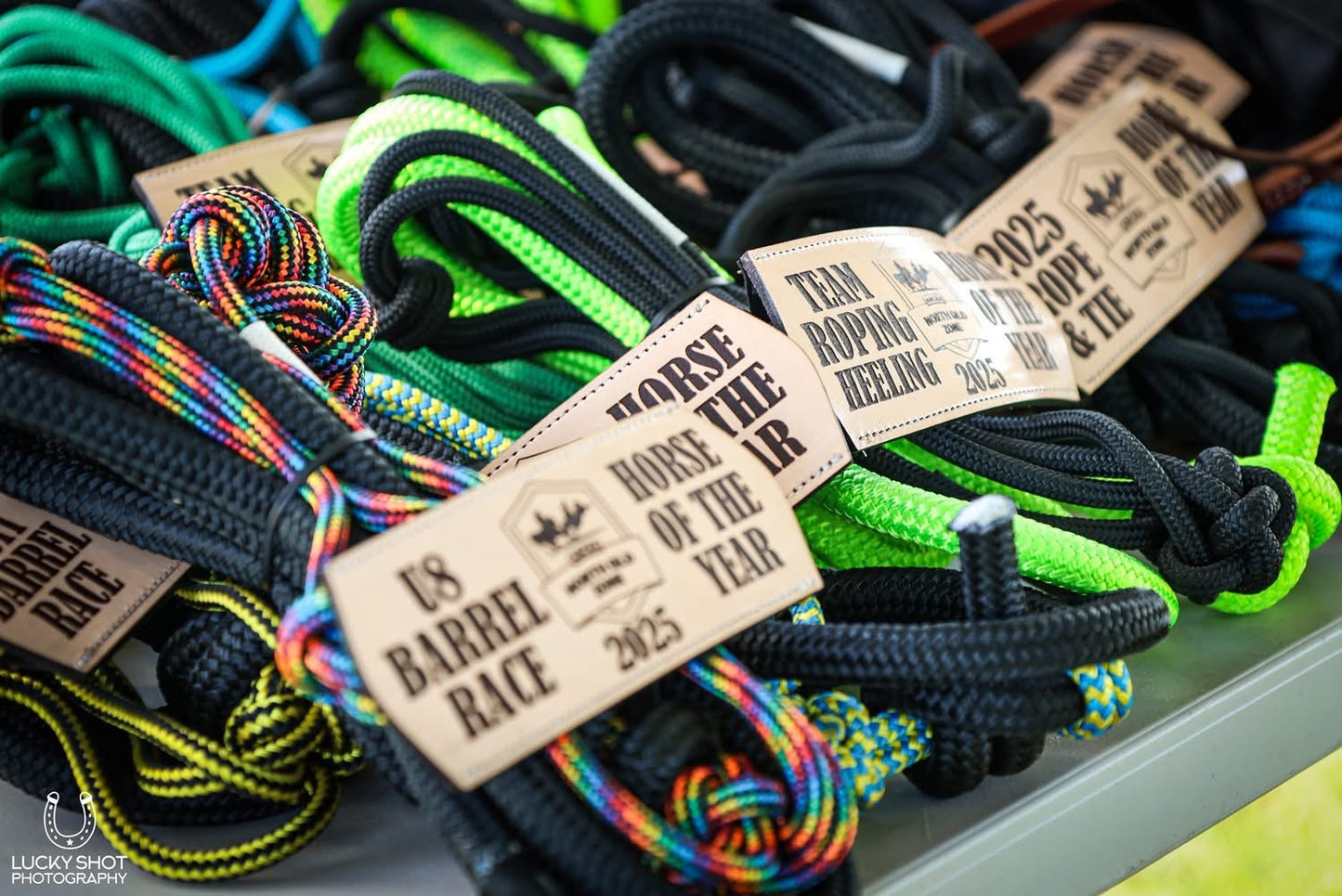 Halter with Nose Band