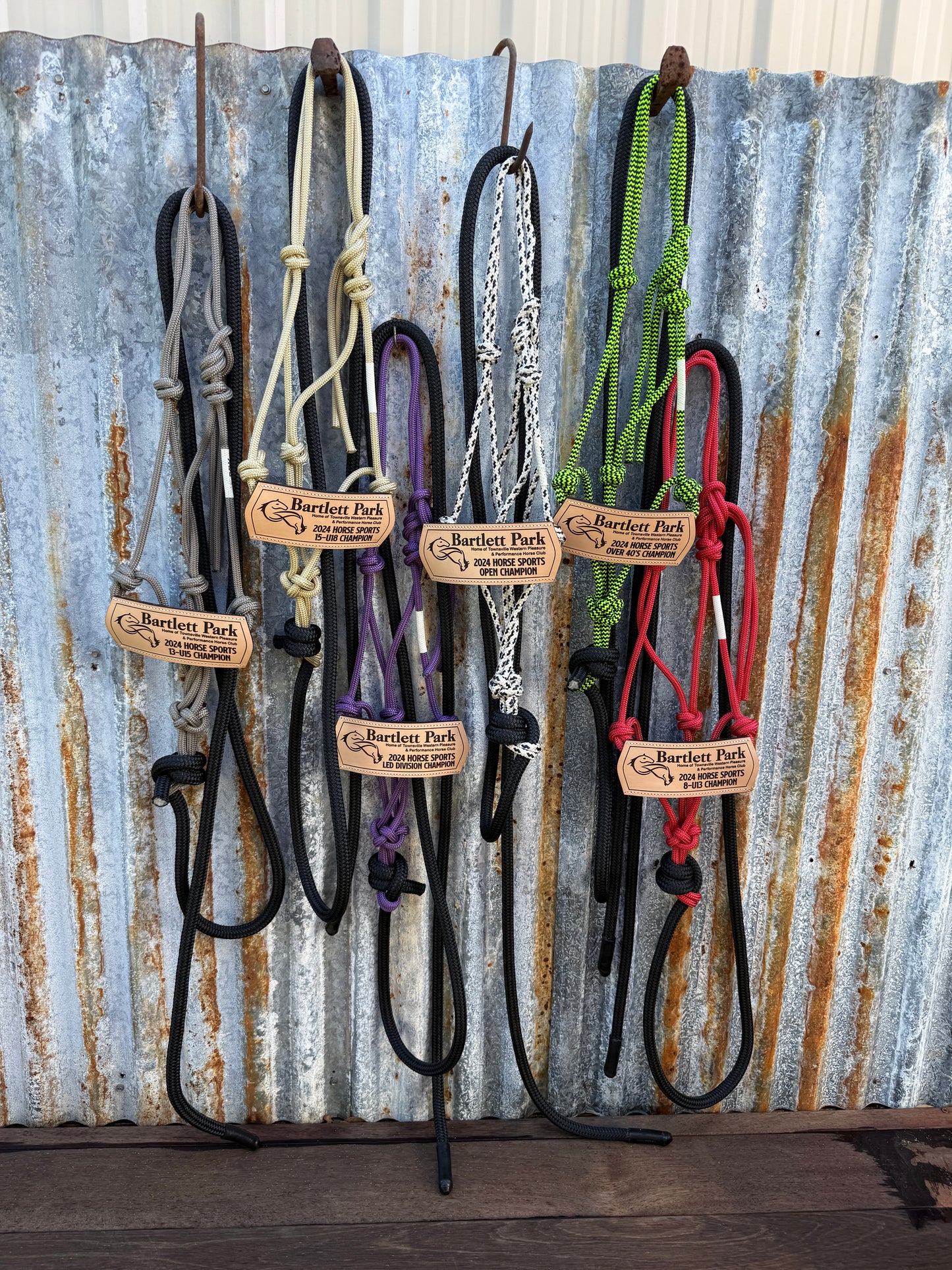 Halter with Nose Band